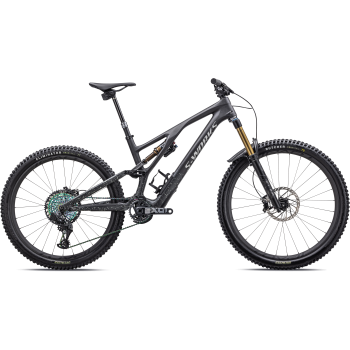 Specialized SJ EVO SW SATIN...