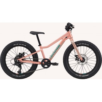 CANNONDALE KIDS TRAIL PLUS 20"
