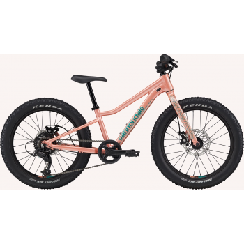 CANNONDALE KIDS TRAIL 20"