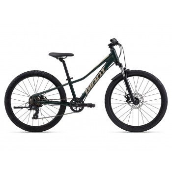GIANT TALON 24"
