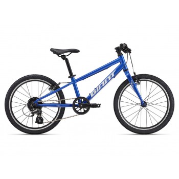 GIANT ARX 20"