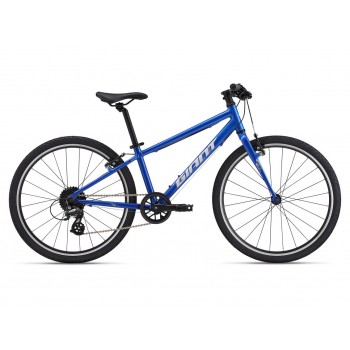 GIANT ARX 24"