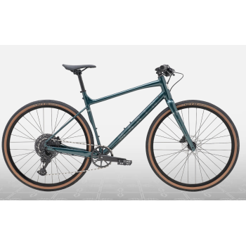 MARIN DSX 1