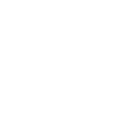 Wolfbike