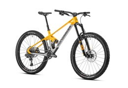 Últimas unidades de FOXY y SUPERFOXY a mitad de precio en Oiartzun Bike
