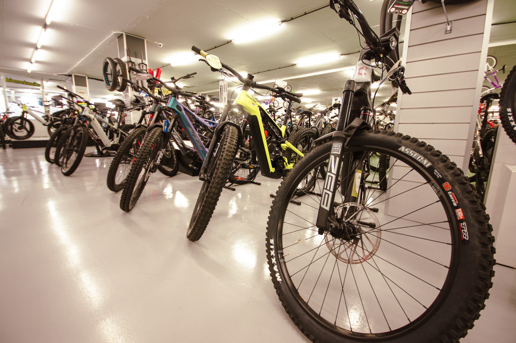 Expo bicicletas Oiartzun BIke