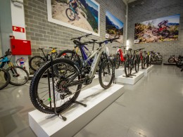 E-Bikes Alegi 3