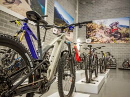 E-Bikes Alegi 8