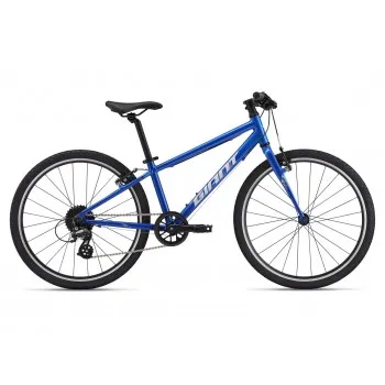 GIANT ARX 24"