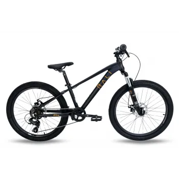 RALI PRO 0 24" DISC