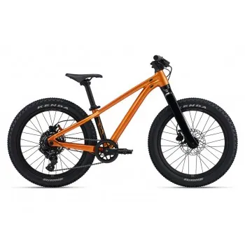 GIANT STP 20"